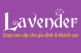 Giới thiệu Lavender